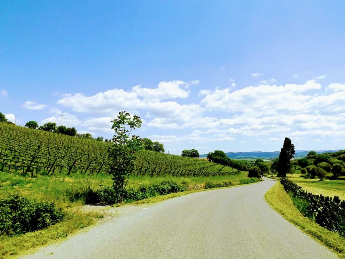 Centralissimo Nel Cuore Del Borgo Suvereto Luaran gambar